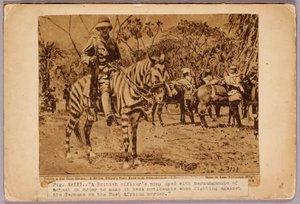 Horse and Cruiser Camouflaged, study folder for book Concealing Coloration in the Animal Kingdom by Abbott Handerson Thayer