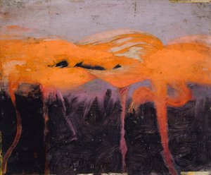 Red Flamingoes, Study for Book Concealing Coloration in the Animal Kingdom