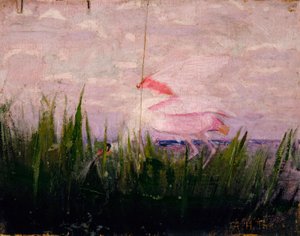Roseate Spoonbill, study for book Concealing Coloration in the Animal Kingdom by Abbott Handerson Thayer