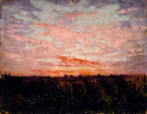 Sunrise or Sunset, study for book, Concealing Coloration in the Animal Kingdom