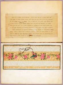Three-Toned Bird Design, Study Folder for Book Concealing Coloration in the Animal Kingdom by Abbott Handerson Thayer