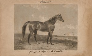Aliwal, the property of Sir Harry Smith, Bart by Abraham (after) Cooper