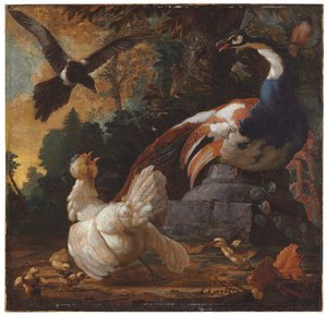 A Peacock, Poultry and a Magpie in a Landscape, 1720