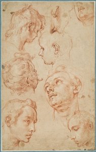 Eight Studies of Young Men