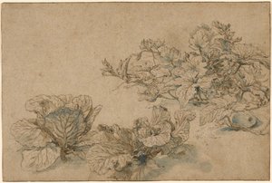 Studies of a Marrow Plant and Cabbages by Abraham Bloemaert