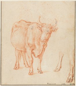 Studies of a Cow by Abraham Bloemaert