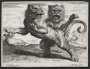 Various Lions