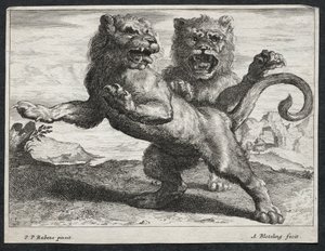 Various Lions
