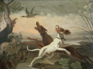 Unknown Image