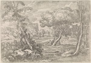 Wooded Landscape