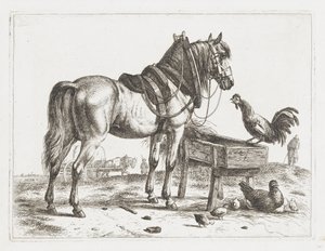 Horse by a Feeding Trough