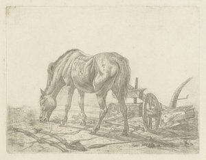 Unhitched Horse by a Plow