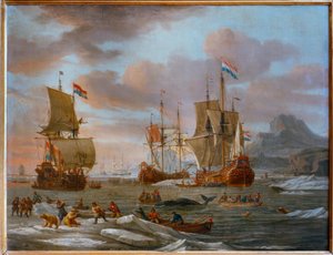 Dutch Fluyts Whaling