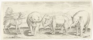 Gazelle, Elephant, and Rhinoceros (Animals series) by Abraham de Bruyn (possibly)