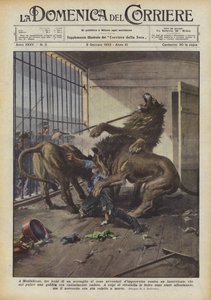 In Monfalcone, Three Lions from a Menagerie Suddenly Attacked an Attendant Who...