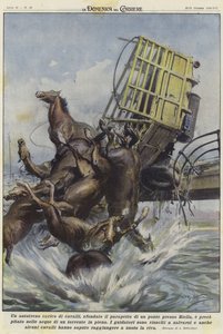 A truckload of horses in an accident in Biella