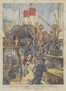 Arrival of the German Steamer Abissinia in New York Loaded with Beasts, The Transport to Land
