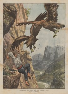 Daring hunt for an eagle