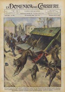Big game hunting in a French village
