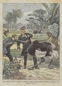 How the News of an Attempt on the King of Greece Spread, an Ostrich Attacks King George in the ?