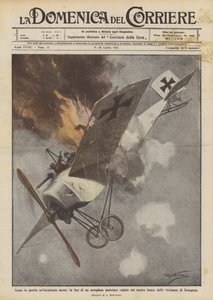 How an Air Raid Was Punished, the End of an Austrian Airplane Hit by Our Fire