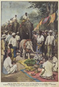 How a White Elephant Becomes Sacred, in Siam