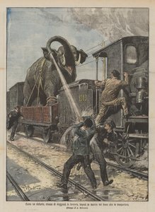 How an elephant, tired of traveling by train, stopped the train carrying it
