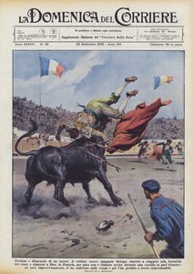 Fortune and misfortune of a bullfighter