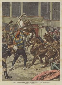 Escape of lions and lionesses from a circus in Odessa during show rehearsals