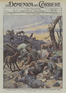 Horrors of War, Packs of Hungry Wolves Invade the Battlefield of Augustow Attacking the Dead and Wounded