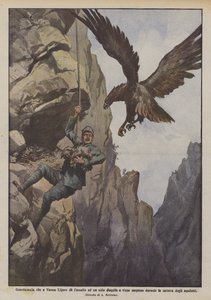 Gamekeeper in Varese Ligure Attacks an Eagle