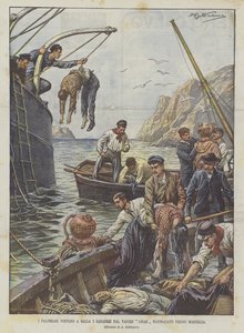 Divers Bring Up the Bodies from the Liban Steamer Wrecked Near Marseille