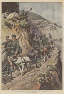 Dogs at war, transporting water supplies to our advanced positions