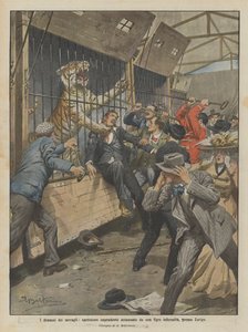 Dramas of the Menagerie, Reckless Spectator Mauled by an Enraged Tiger Near Zurich by Achille Beltrame