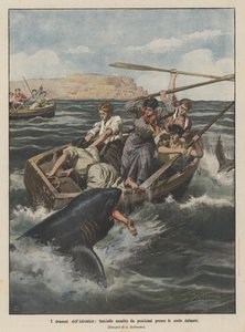 The dramas of the Adriatic, girls attacked by sharks near the Dalmatian coast