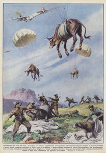 The cattle that fall from the sky