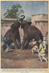 The Strangest Duel