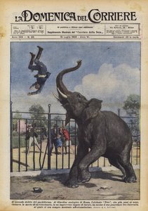 The Second Crime of the Pachyderm
