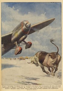 The Bull and the Airplane