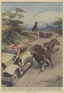 Unpleasant encounters