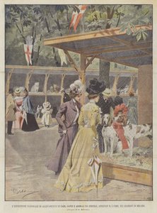 The National Exhibition of Dog, Cat, and Poultry Breeding, Opened on the 5th