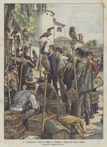 The Characteristic Bird Fair at Cisano, on Lake Garda