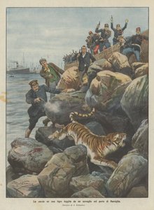 The Hunt for a Tiger Escaped from a Menagerie in the Port of Marseille