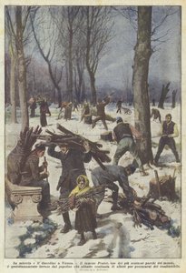 Misery and Disorder in Vienna