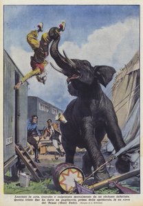 Thrown into the air, trampled and mortally crushed by an enraged elephant