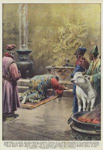 The Emperor and the Bull