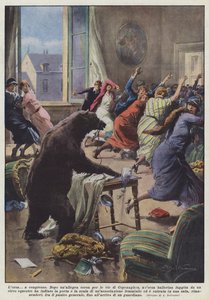 The Bear at Congress