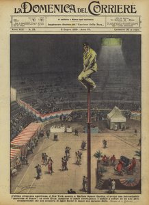 The latest American oddity