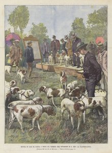 Hunting Dog Show and Field Trials at the S Siro Racetrack, The Classification