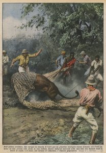 In East Africa, two Europeans tracking beasts for a zoo have attracted? by Achille Beltrame